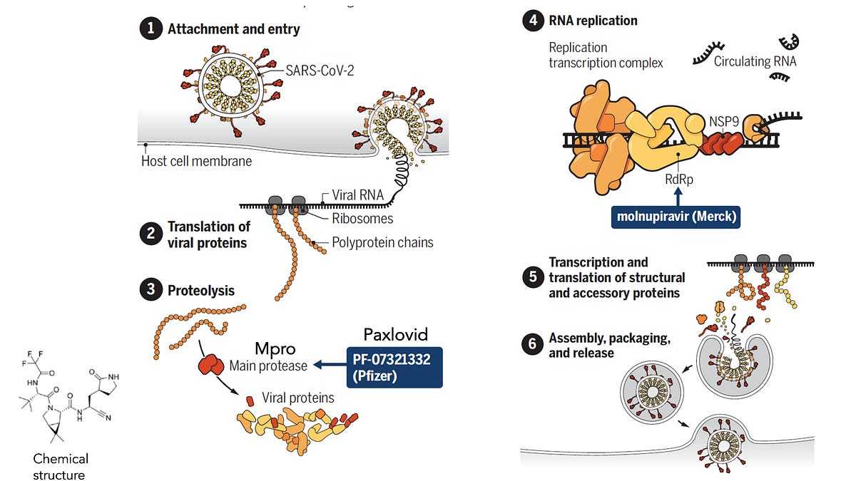 paxlovid and tirzepatide Everything we know about Paxlovid, the COVID-19 pill that's saving lives tirzepatide and paxlovid The basics