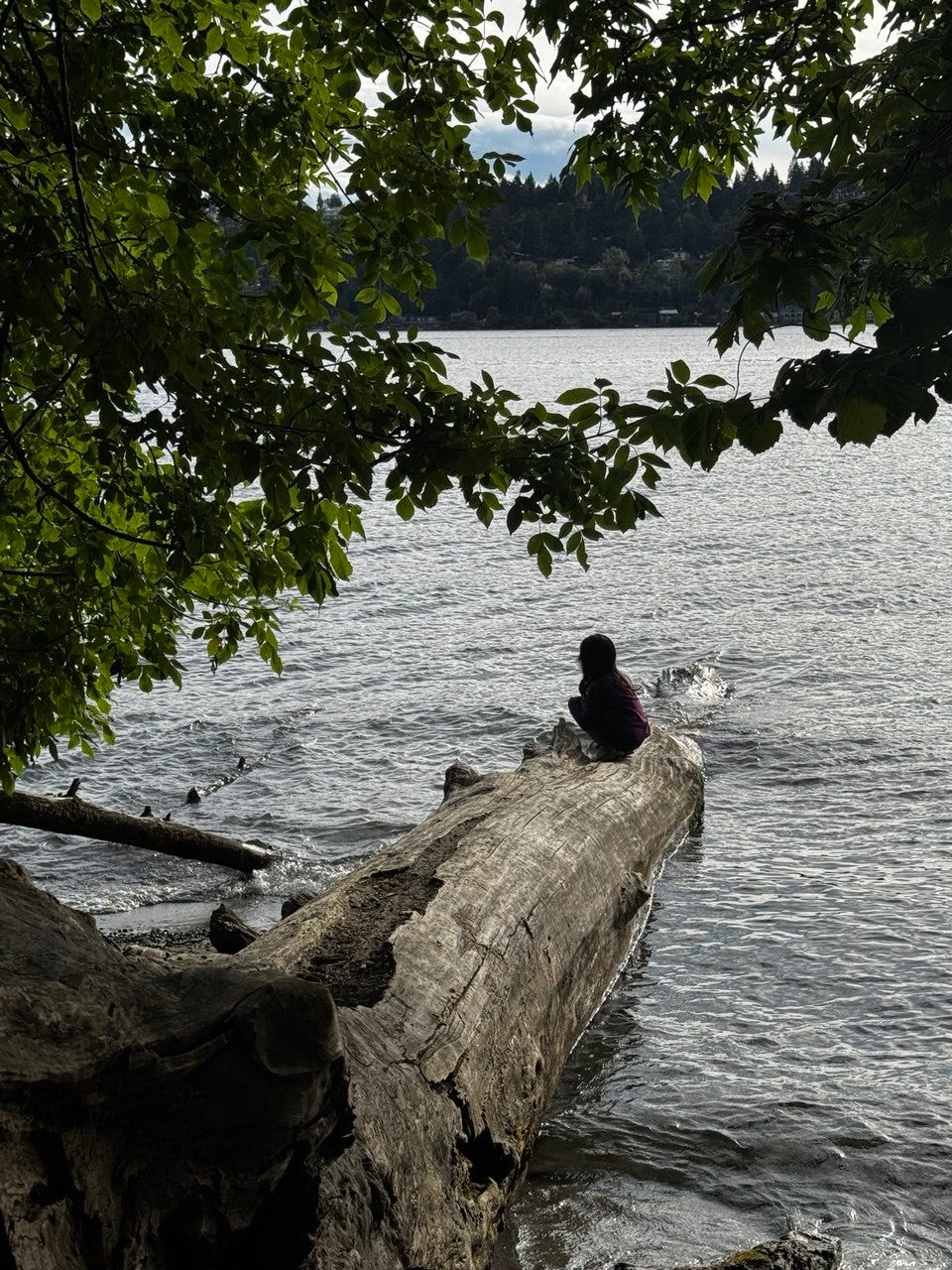 A child sits at the end of a large fallen tree by the water, framed by green leaves, looking out over a lake in the Pacific Northwest. A child sits at the end of a large fallen tree by the water, framed by green leaves, looking out over a lake in the Pacific Northwest.