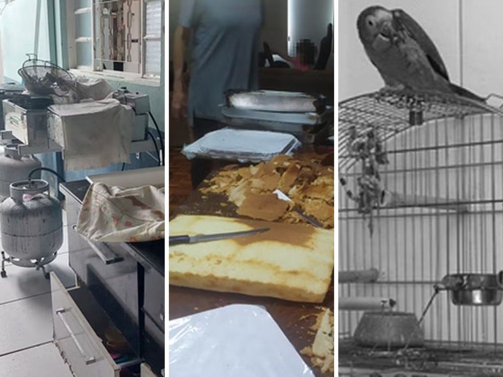 Cozinhas de entrega por app acumulam problemas sanitários, diz estudo da Unicamp — Foto: Reprodução