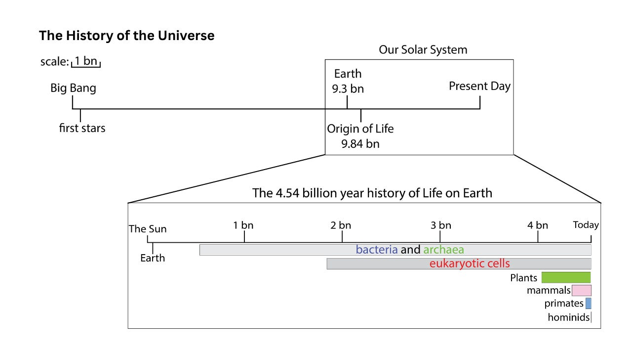 Figure 1: Here is an overview of the History of the Universe (top) and the history of Earth and Life on Earth (bottom). And you can see here that life has existed for almost one-third the age of the entire Universe! Quite remarkable. But for a large chunk of time, life was microbial in nature, existing first as bacterial and archaeal cells, then we had the first complex eukaryotic cells around 2 and a bit billion years ago. The large explosion in diversity of plants and animals is really only in the last 500 million years or so, and humans have been around maybe 300,000 years; we are pretty new arrivals in the grand scheme of things. The coloured bars representing different categories of life show when they are thought to have arisen, but the real picture is more interwoven and nested: all life, including eukaryotic life, emerged from bacteria and archaea; all complex multicellular life emerged from within the eukaryotic lineage; humans emerged from within the primate lineage and so on. I, Chris Earl, made this figure using Microsoft PowerPoint and Adobe Illustrator.
