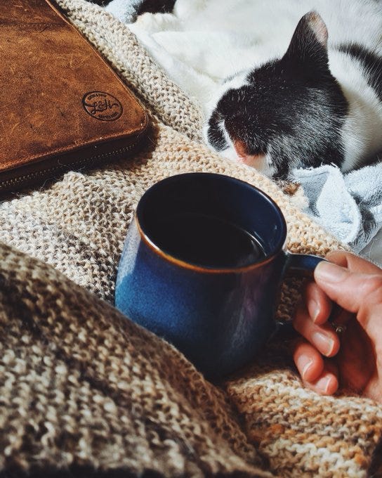 Why Substack Why Now By Louise Tilbrook