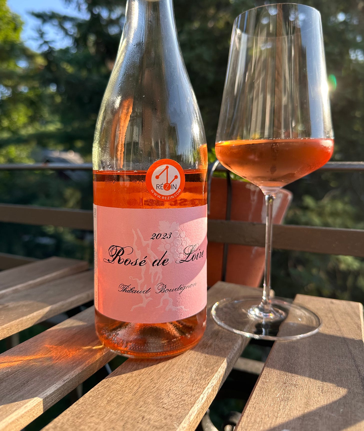 Thibaud Boudignon, 2023 Rosé de Loire