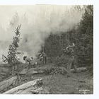 Anyone Available, Please Respond