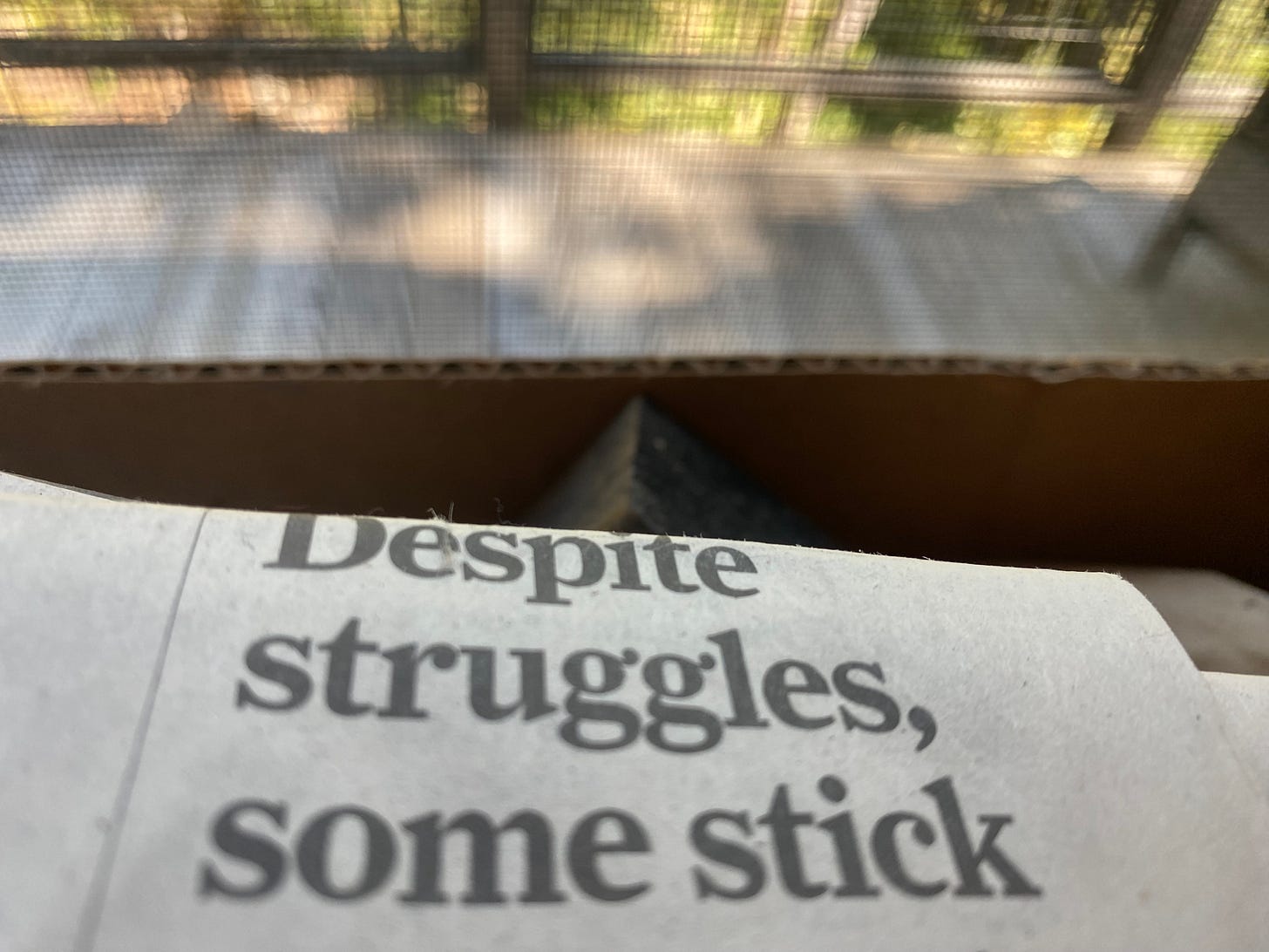 Part of a newspaper headline: "Despite struggles, some stick"