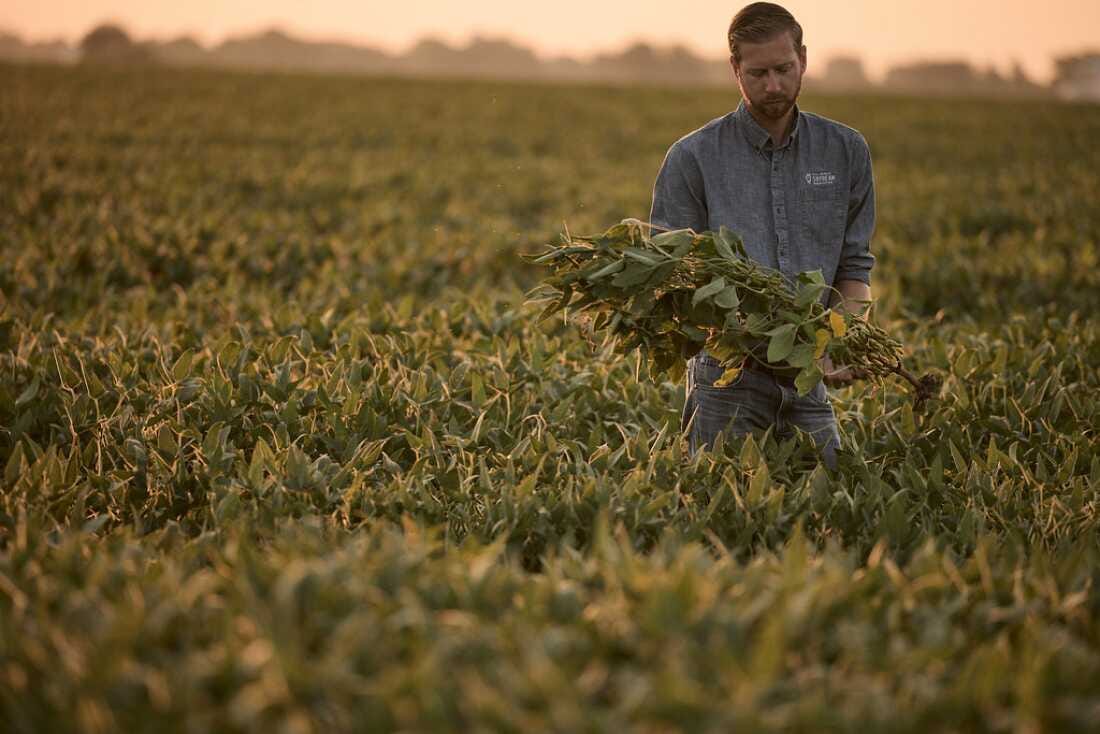 Brady Holst, who raises soybeans, corn and wheat near Augusta, Illinois, stands among a field of crops.