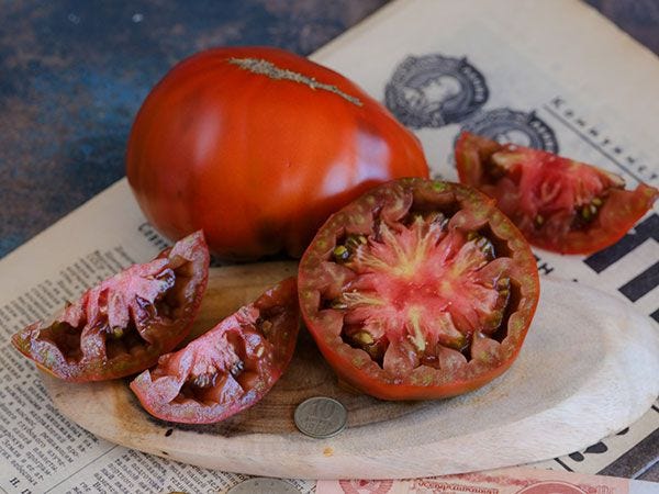 Paul Robeson tomato sliced open on a cutting board.