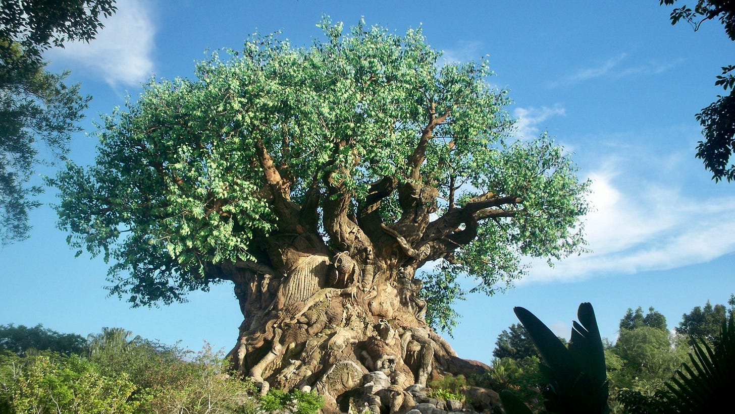 The most underrated attractions at Disney World The most underrated attractions at Disney World