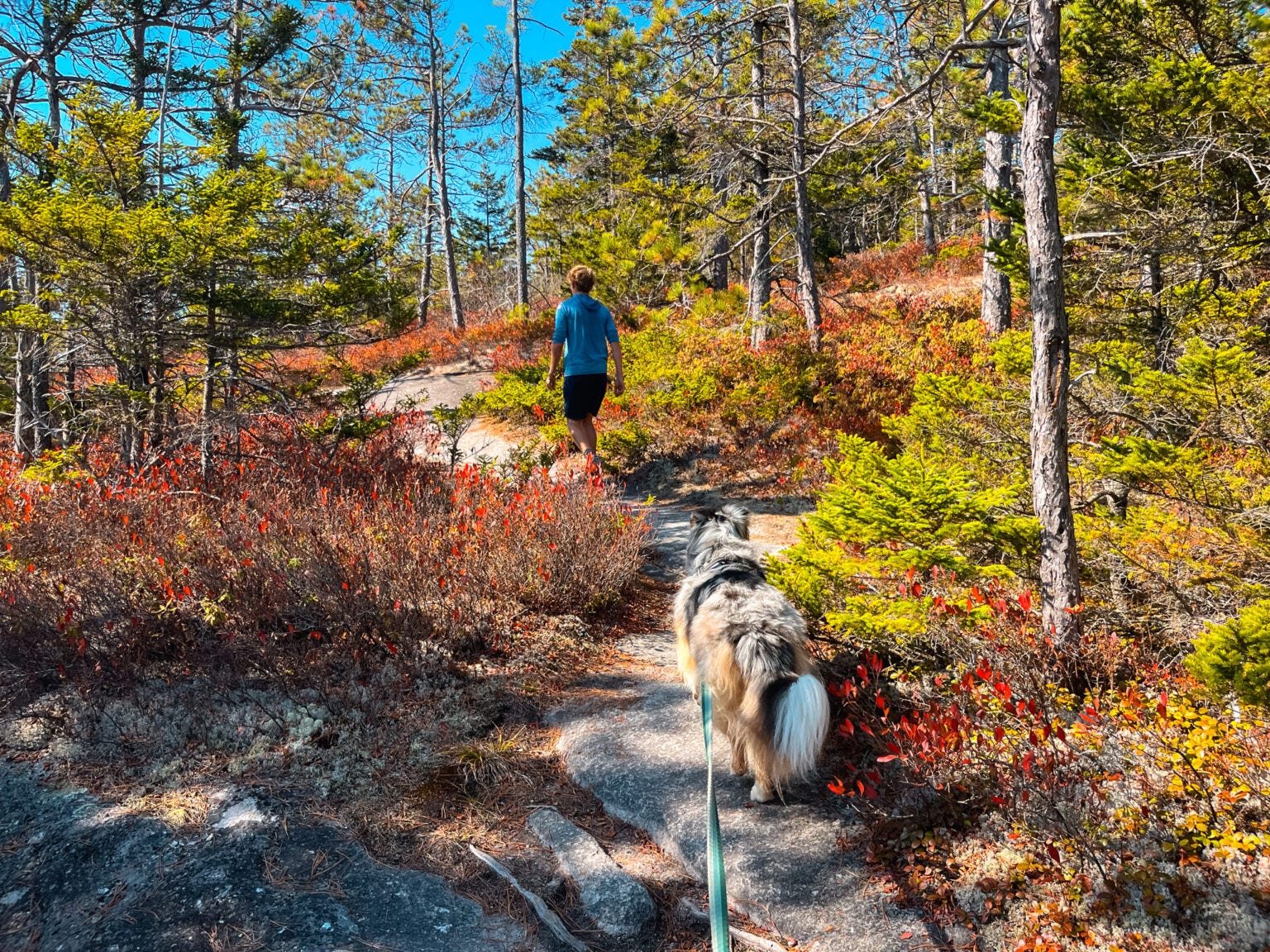 Wander Weekly #66: Fall Is Actually Here (and it’s time for New England to Shine)