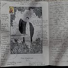 The tarot, photography, and fear