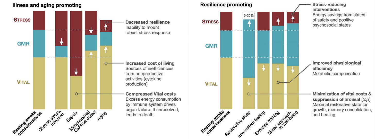 This series of graphs shows the impacts of illness- and aging-promoting activities (left) and resilience-promoting (right) activities on energy allocation. This series of graphs shows the impacts of illness- and aging-promoting activities (left) and resilience-promoting (right) activities on energy allocation.