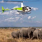 It was a fairytale fantasy of wildlife and people – until the killing began