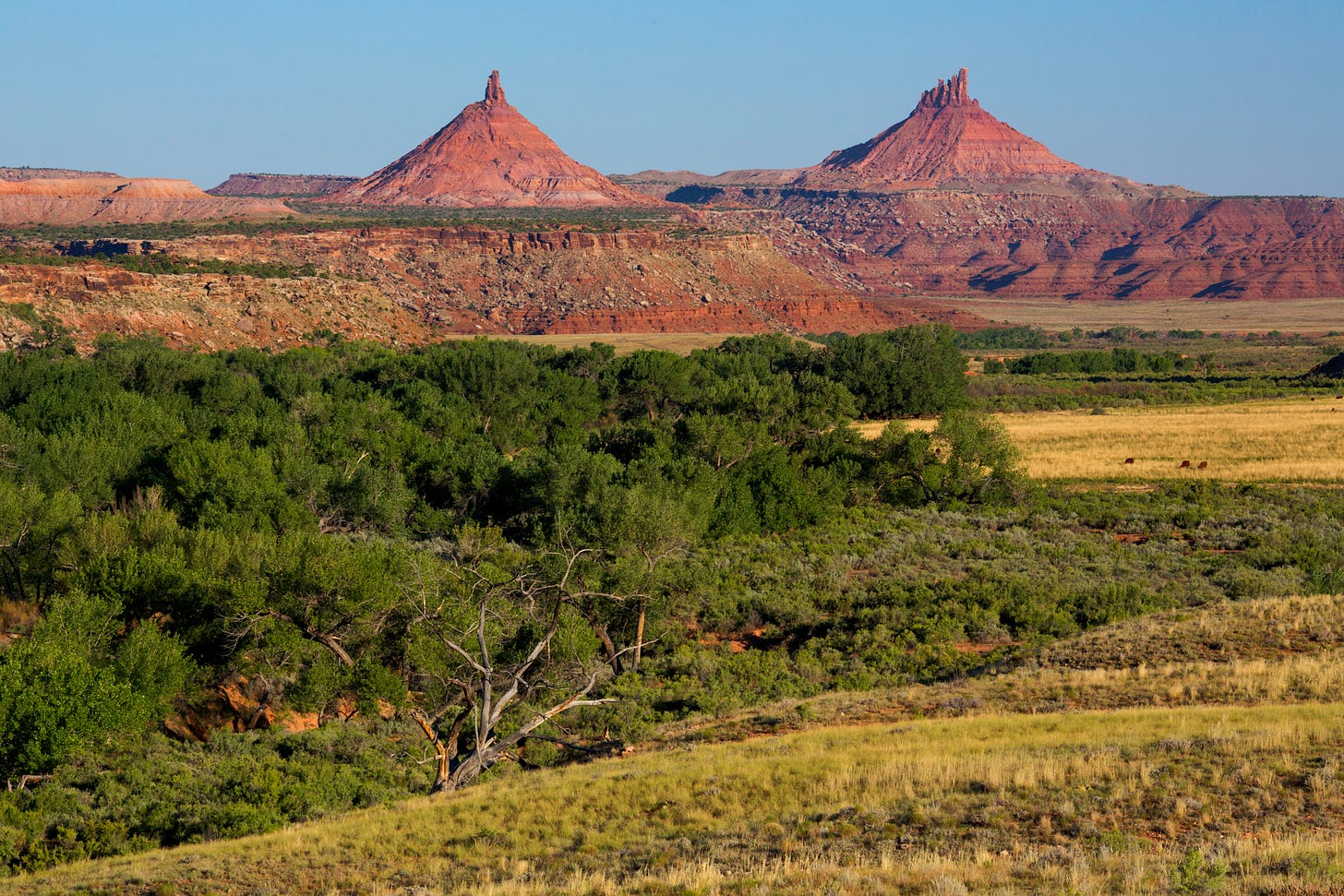 Bears Ears National Monument - Wikipedia