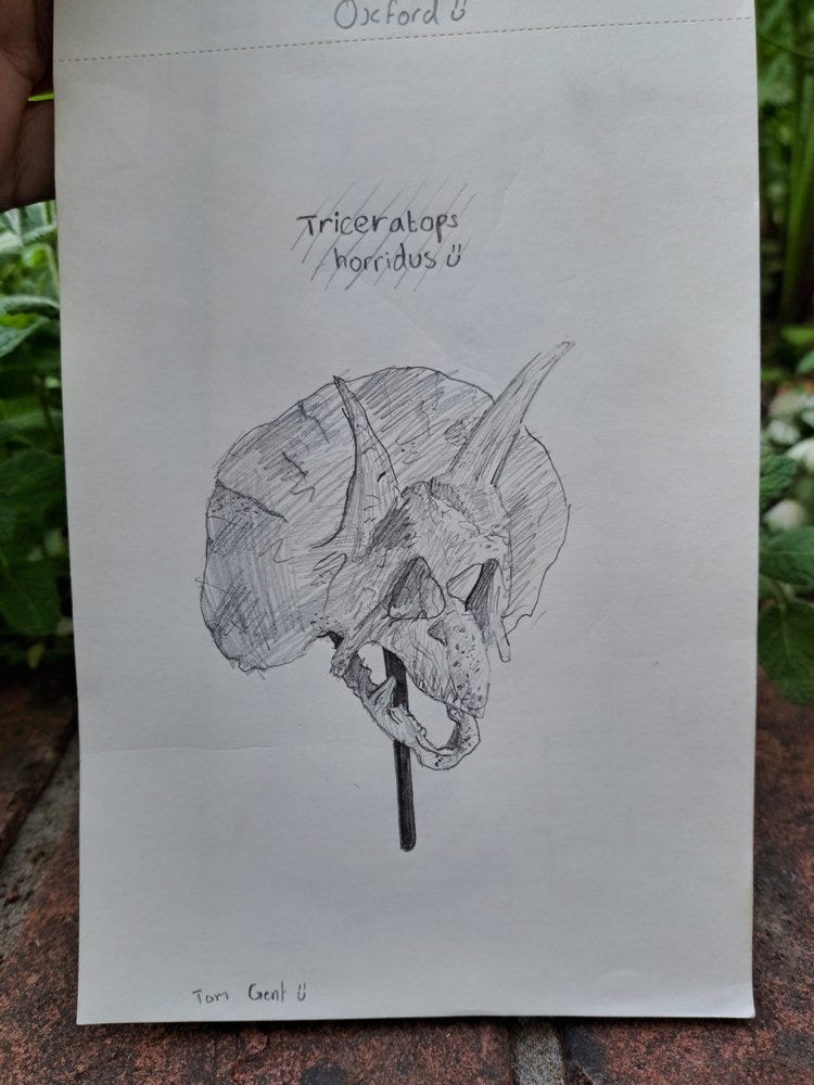 I love how Tom titles his pictures