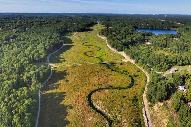 A meandering river surrounded by wetlands, with forested areas nearby A meandering river surrounded by wetlands, with forested areas nearby