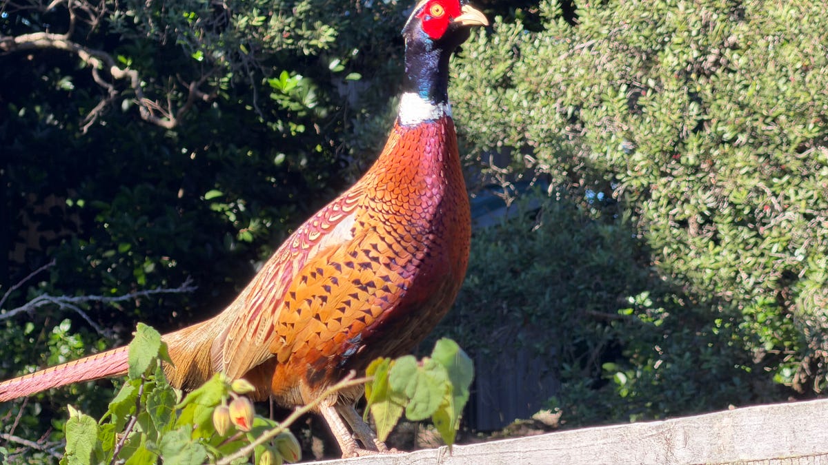 Tuesday's Early Bird: Top News; Scoops; Deep-Dives; My Picks