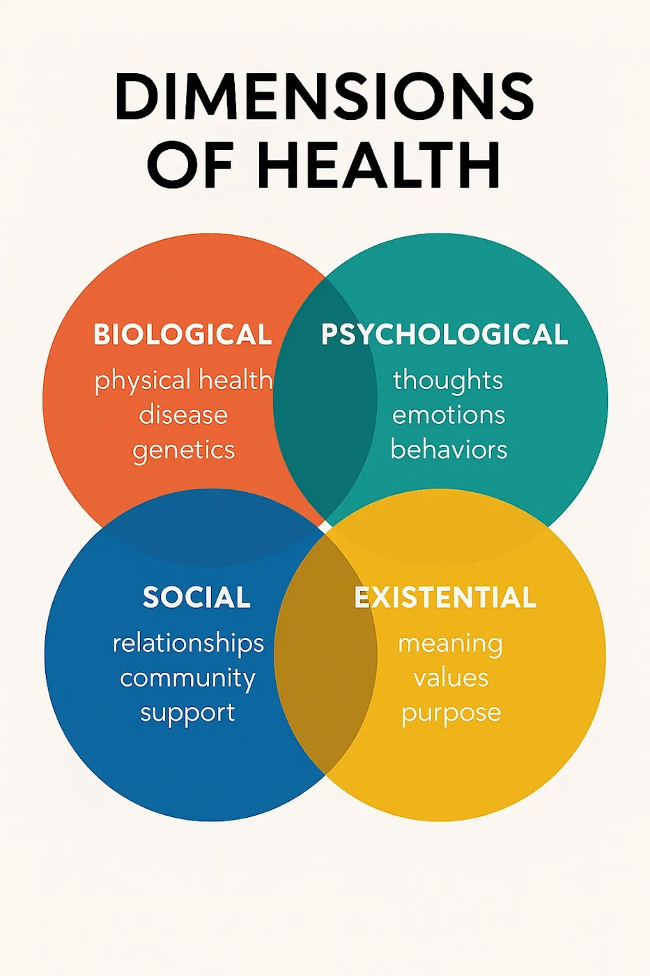 f51ff3d7-d5d7-4d1d-b8da-5f3fee255e71_1024x1536