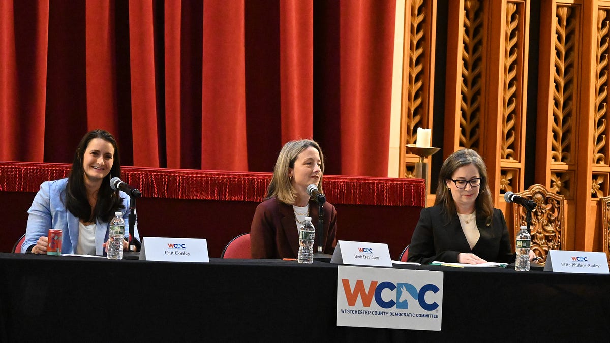 Decision day Tuesday in $8 million primary for Democratic nomination in NY-17