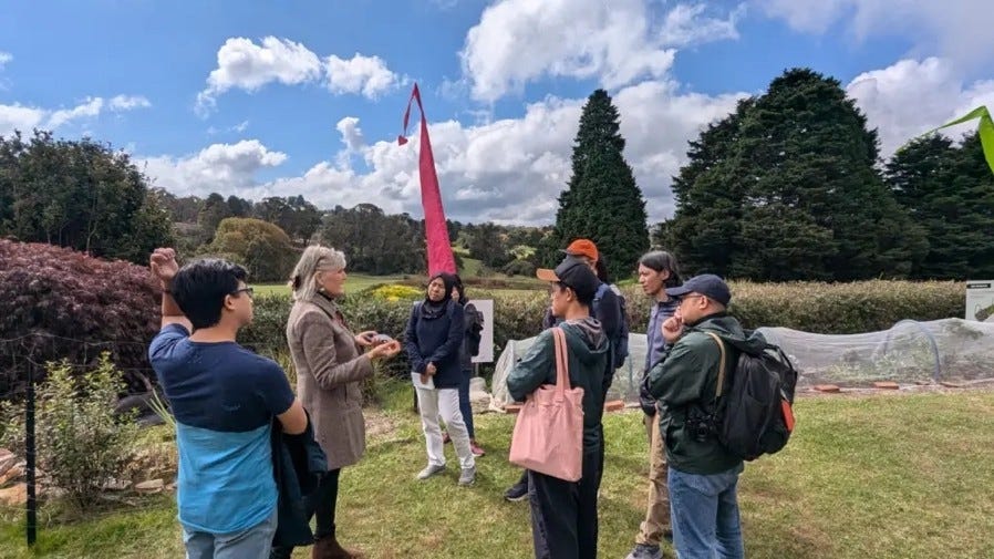 Learning about the landscape and vulnerability of Katoomba and Blue Mountains