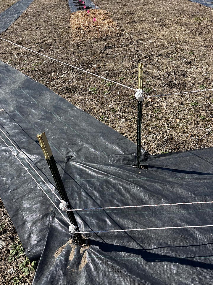 Corner T-Posts and Step-In Spring Steel Support Posts