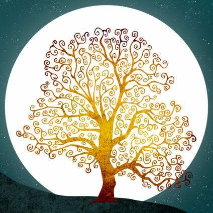 Jérôme Nathanaël - Dialogues du Nouveau Monde