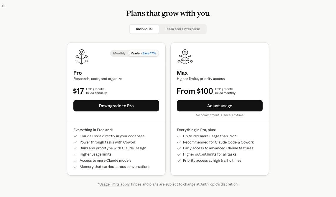 The plan screen showing a Downgrade to Pro option