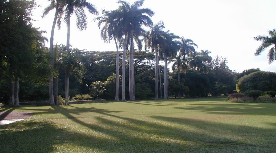 Hope Botanical Gardens