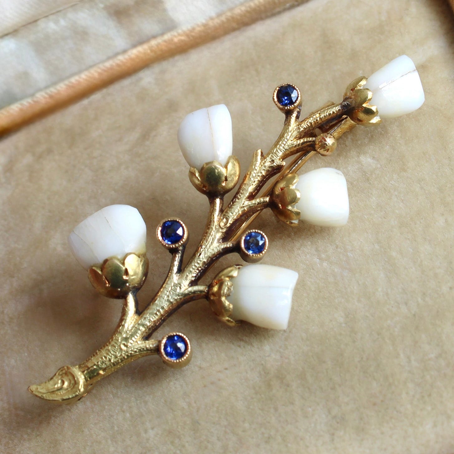 Victorian Baby Tooth Brooch with Sapphires – The Eden Collective Victorian Baby Tooth Brooch with Sapphires – The Eden Collective