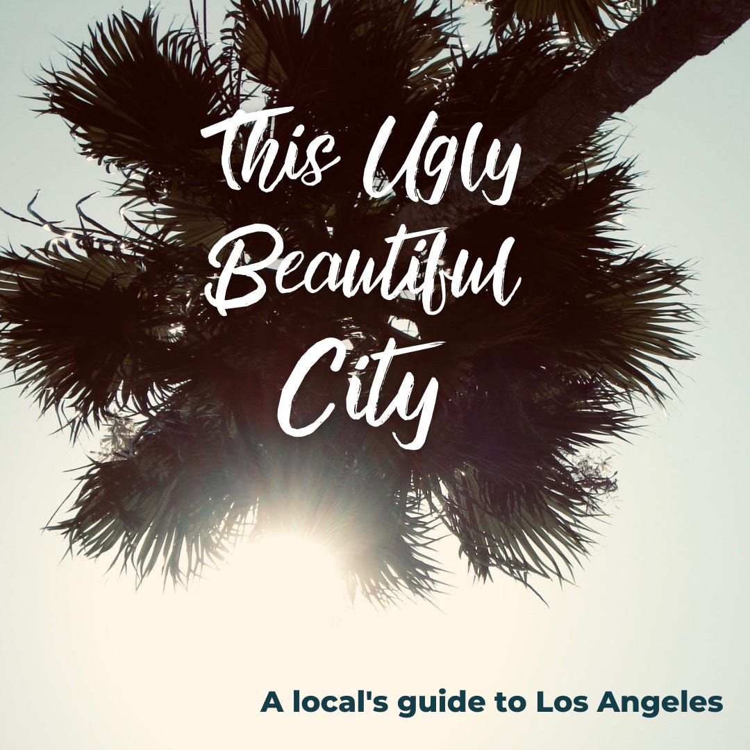 This Ugly Beautiful City