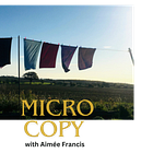 GUEST WORKSHOP - Soulful micro copy for your Substack and more.