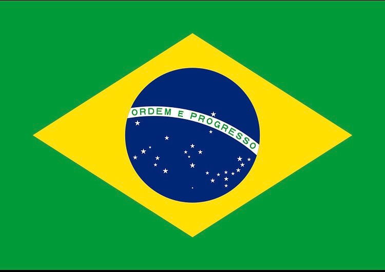 Brazil Investor