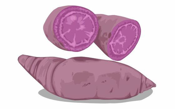 Purple Yam Vector Art, Icons, and Graphics for Free Download Purple Yam Vector Art, Icons, and Graphics for Free Download