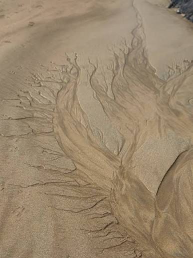 Sand dune rivulets Definition : Intricate streams of water that carve  channels, grooves, and patterns into sandy surfaces, often observed on  beaches at low tide… These natural formations are a form of