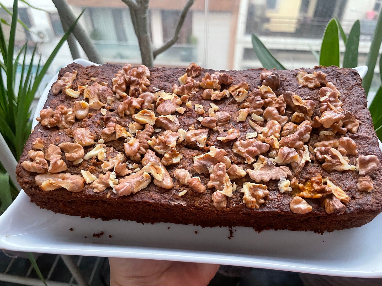 A golden-brown loaf of banana bread with sprinkled walnuts sits on a white plate