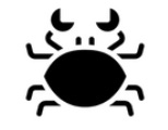 Crab — gambero Crab — gambero