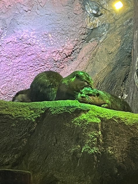 Aquaria KLCC