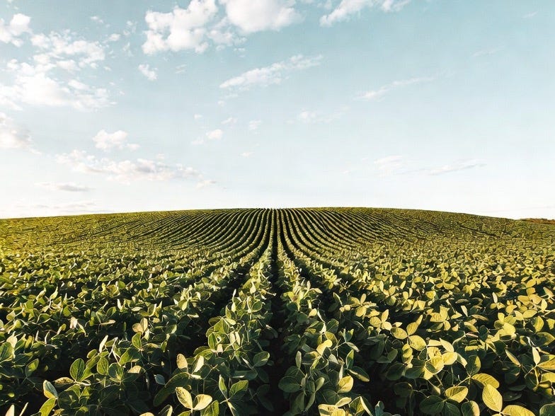 Generated image Generated image