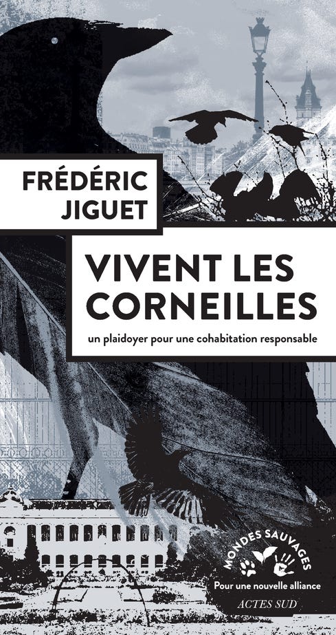 Vivent les corneilles | Actes Sud