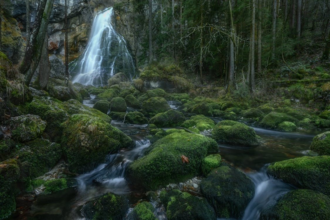 Free A tranquil Austrian waterfall flows amidst moss-covered rocks and a dense forest backdrop. Stock Photo