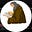 Rusty Adams's avatar