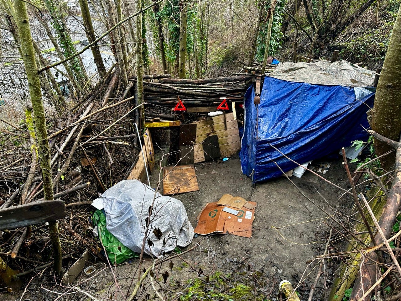 A small shelter in the woods

Description automatically generated