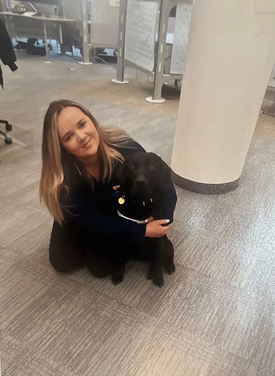 my favourite welfare dog visits the office, 2022.