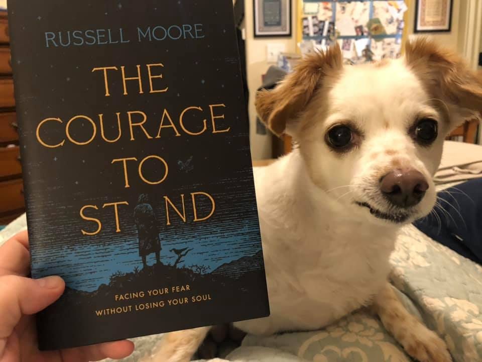 Image may contain: one or more people, text that says 'TKEL THE COURAGE TO ST ND'