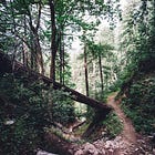 Playing the evergreen SEO long game