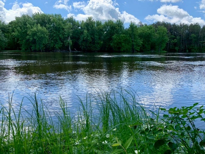 A body of water with trees in the background

Description automatically generated