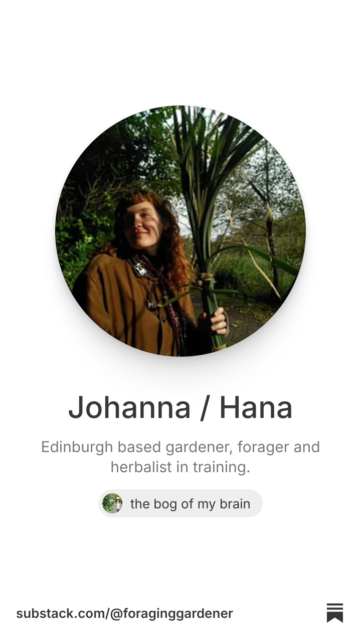 Johanna / Hana | Substack