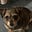 Sally Ann's avatar