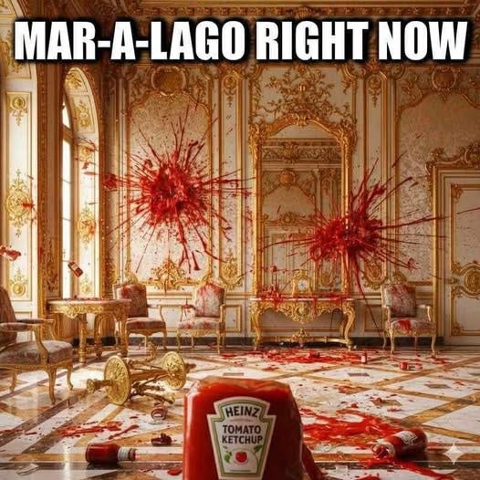 May be an image of text that says 'MAR-A-LAGO RIGHT NOW HEINZ TOMATO KETCHUF'