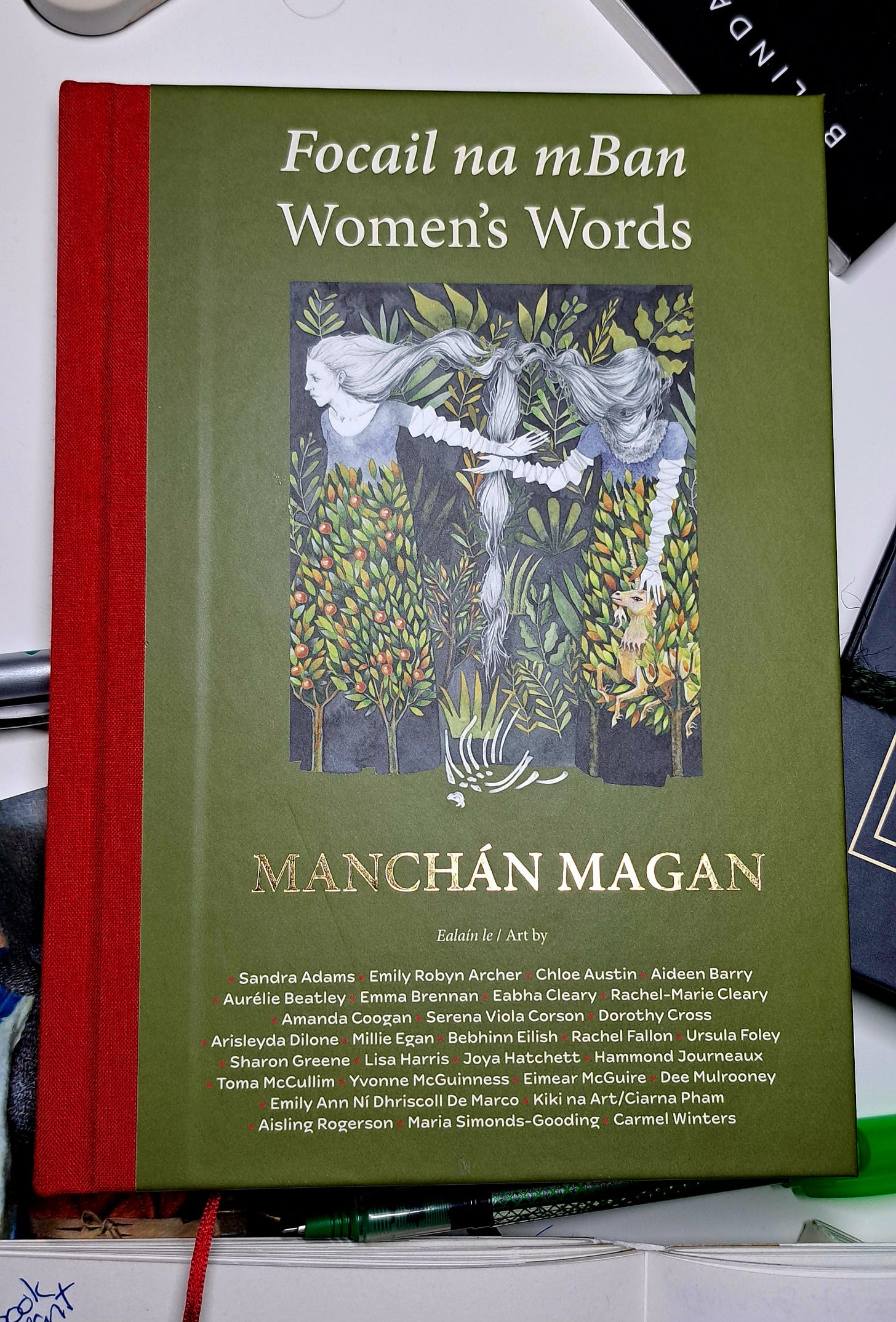 The front cover of Manchán Magan's book, Focail na mBan, Women's Words.