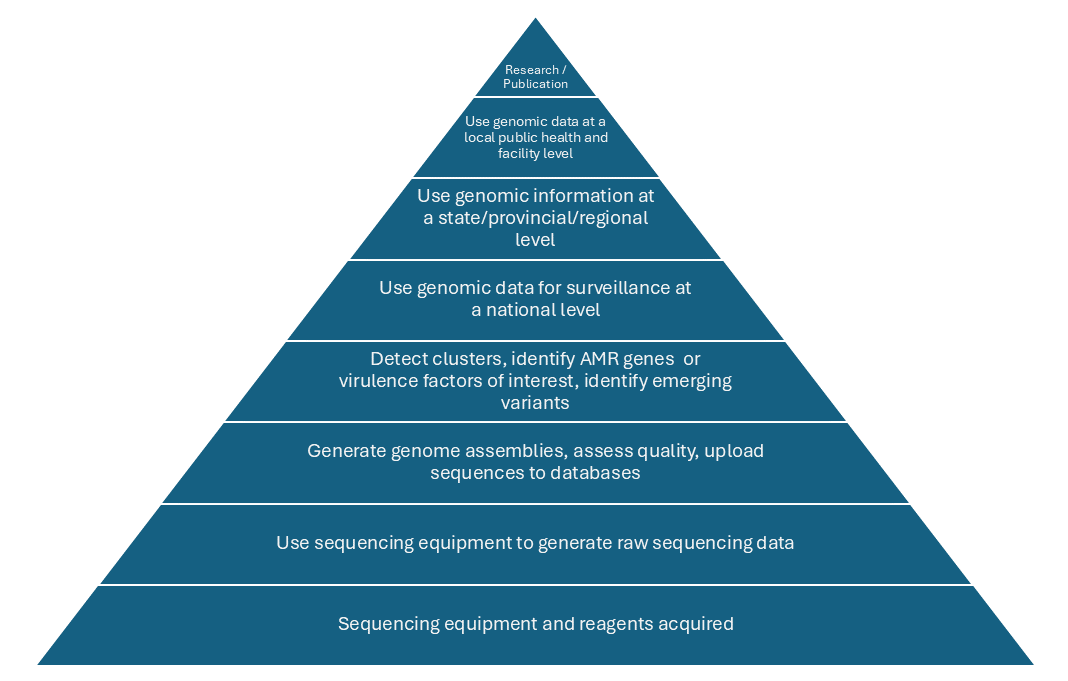 Stages of development of a genomic surveillance program
