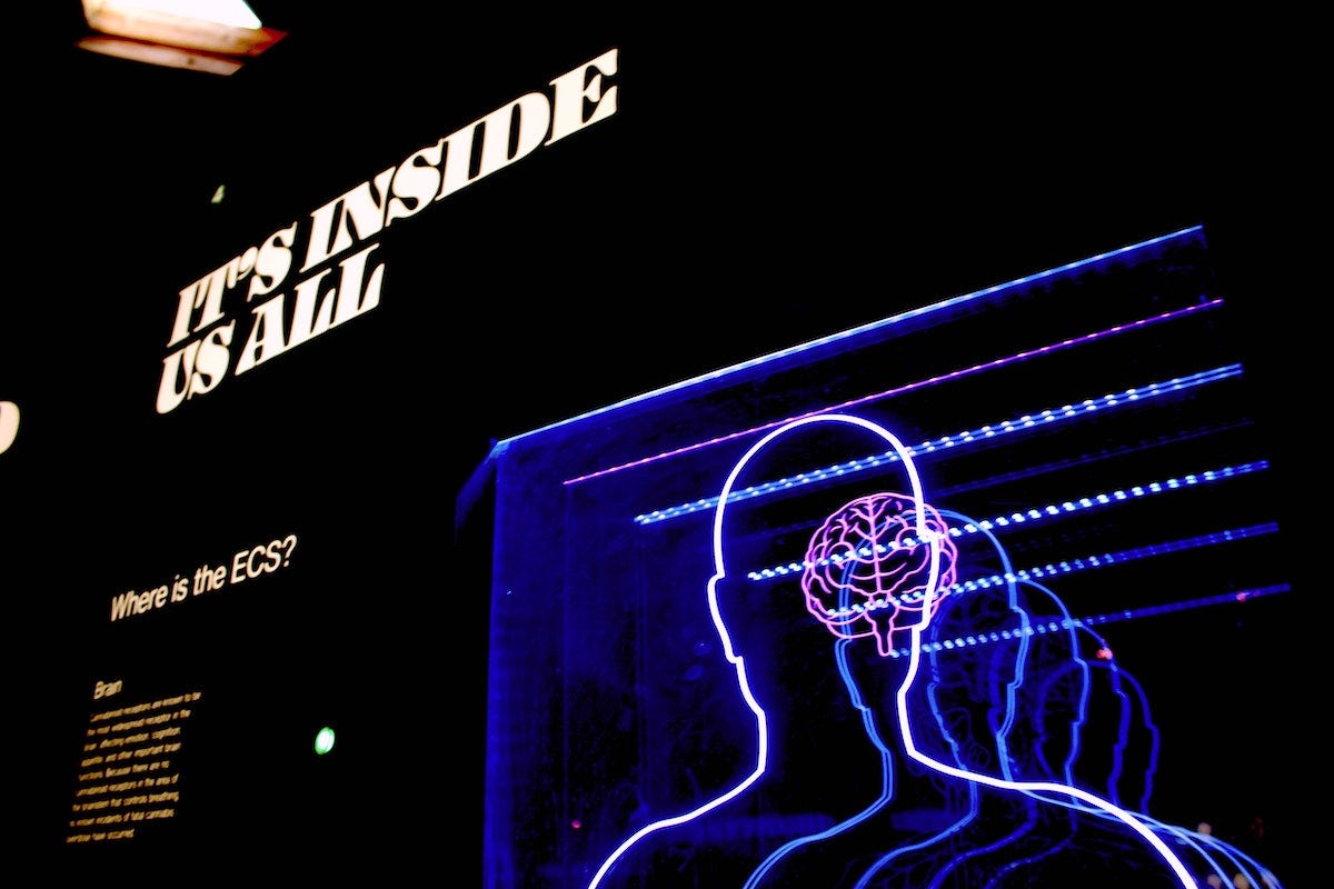 Inside the Gaming VCs brain
